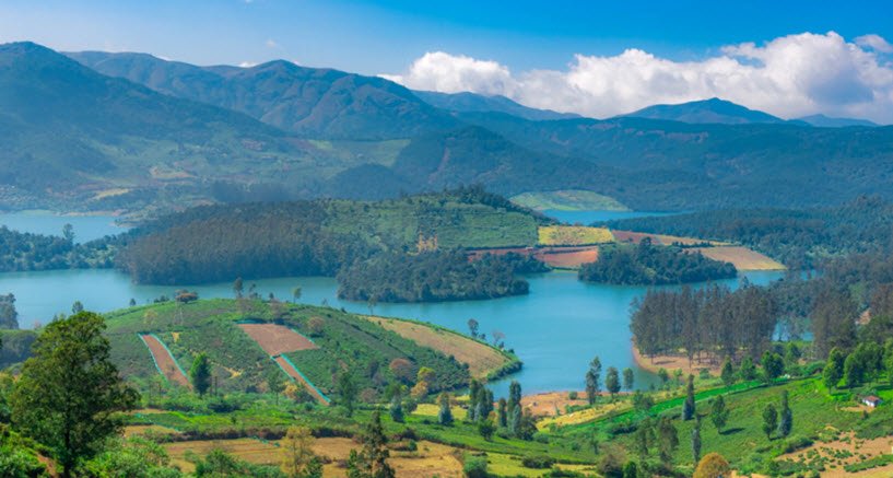 Avalanche Forest Reserve, Nilgiris, Tamil Nadu - Vushii.com Avalanche Forest Reserve, Nilgiris, Tamil Nadu - Vushii.com